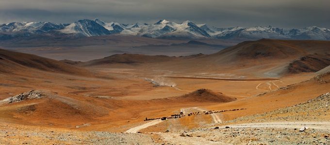 02 Día Mundial del Medio Ambiente.jpg